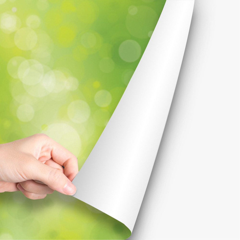 Wall & Window Graphics